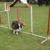 agility 2011-10-30